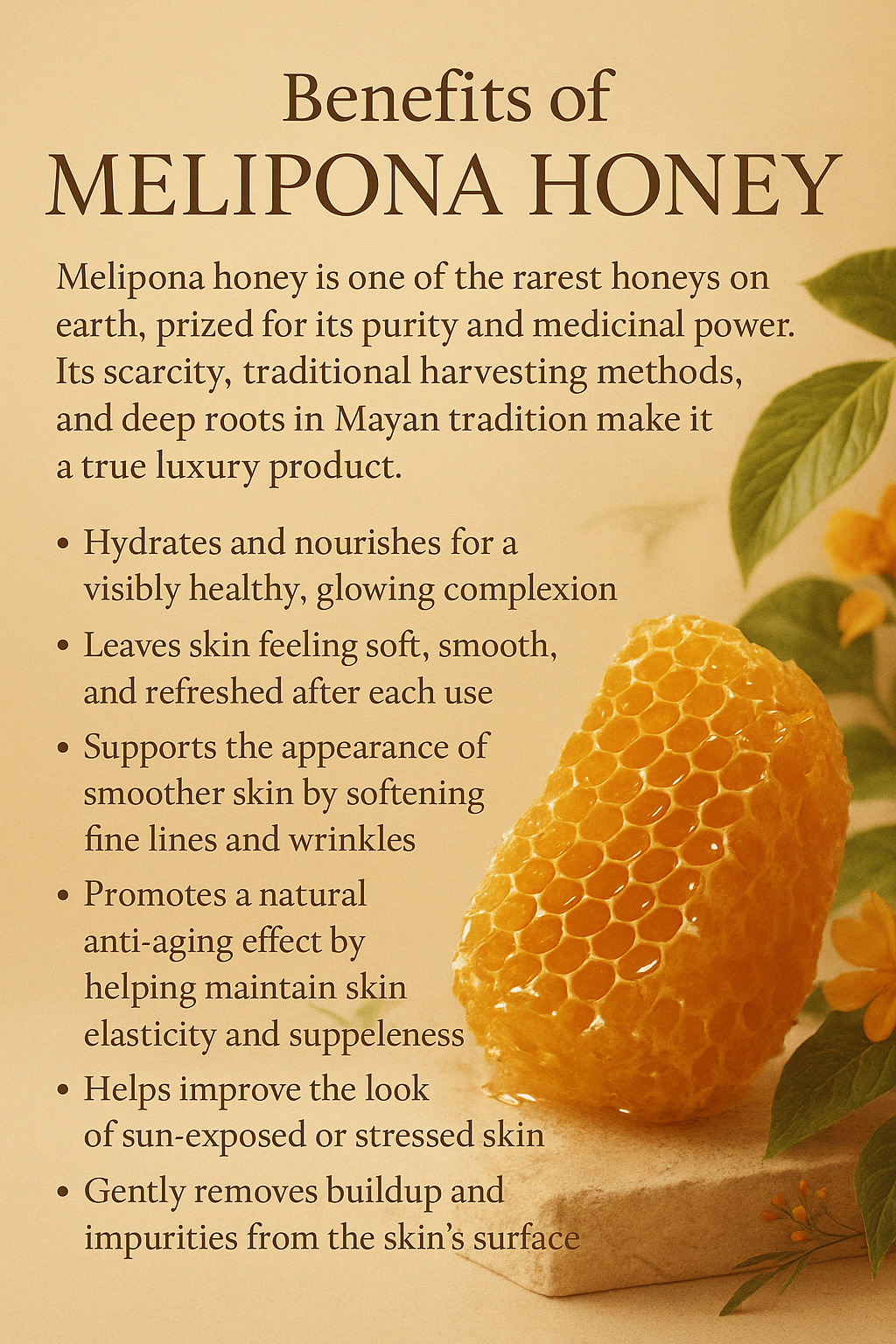 Raw Melipona Honey Face Mask